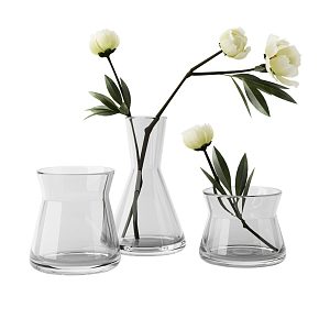 Three vases, a set of three flowers 3d model