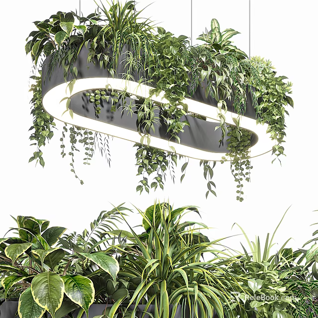 Modern Hanging Pendant Light With Circular Design And Green Plants Decoration 3d model 