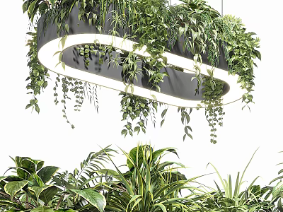 Modern Hanging Pendant Light With Circular Design And Green Plants Decoration 3d model