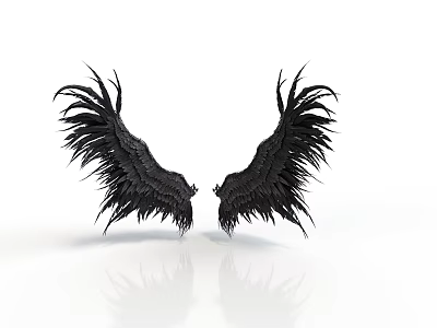 Black Bird With Symmetrical Feathery Wings On White Background And Reflection 3d model