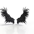 Black Bird With Symmetrical Feathery Wings On White Background And Reflection