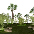 Modern Tree Palm Tree Group Landscape Tropical Plants Plant Combination Sunflower Tree 3d model