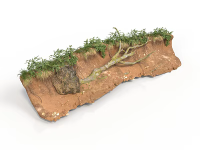 Modern Soil Profile Model With Grass Rock And Tree Roots 3d model