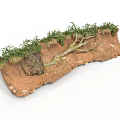 Modern Soil Profile Model With Grass Rock And Tree Roots