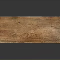 Natural Wooden Plank Supporting Plant Growth For Indoor Greenery Decoration