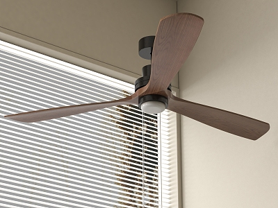 Fan light ceiling fan light 3d model