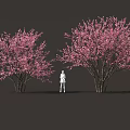 Two Beautiful Blooming Shrubs with Pink Flowers and a White Figure Standing