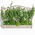 Climbing Vines On Lattice Trellis With Wooden Planter And Green Shrubs