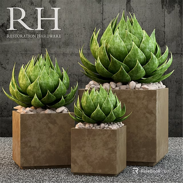 Decorative Ornament Set With Green Plant Ornaments On Brown Cube Pedestals And Small Pebbles 3d model 