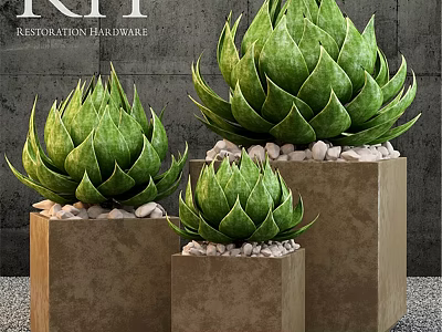 Decorative Ornament Set With Green Plant Ornaments On Brown Cube Pedestals And Small Pebbles 3d model