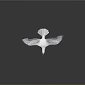 Flying White Seagull With Spread Wings And Reflection On Gray Background 3d model