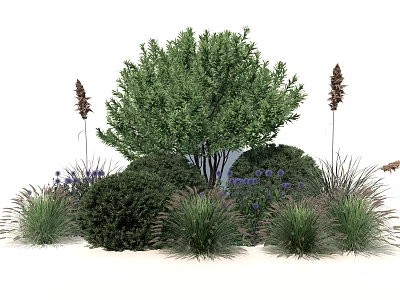Lush Garden Shrub Surrounded By Purple Flowers And Ornamental Grasses In Outdoor Landscape 3d model