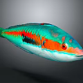 Colorful Tropical Fish with Vibrant Green Orange Red Hues Black Stripes and Bright Red Eyes