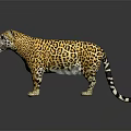 Realistic Jaguar Statue With Yellow Leopard Print Fur Standing On Dark Surface
