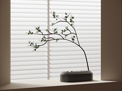 bonsai plant ornaments plant green plants 3d model