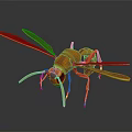 Realistic Orange Wasp 3D Model Featuring Detailed Wings Antennae And Body Features