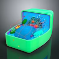 Biological Organ and Hair Structure 3D Model with Microscopic Components Illustration