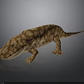 Brown Spotted Lizard on Dark Surface with Shiny Reflection and Detailed Skin