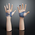 Human Hand Models with Wrist Support Devices and Metal Braces on Index Finger and Thumb