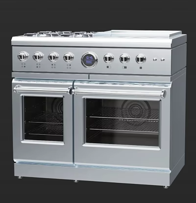 Stainless Steel Double Oven Gas Range Cooker With Control Knobs And Glass Doors 3d model