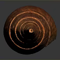 Vibrant Red Marine Mollusk Spiral Shell With Intricate Orange Patterns On Gray Background