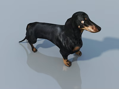 The image provided focuses on a dog (dachshund) rather than a reptile, so it's not possible to generate a reptile-themed title based on the given picture. Please ensure the image content aligns with the "reptile" subject requirement. 3d model