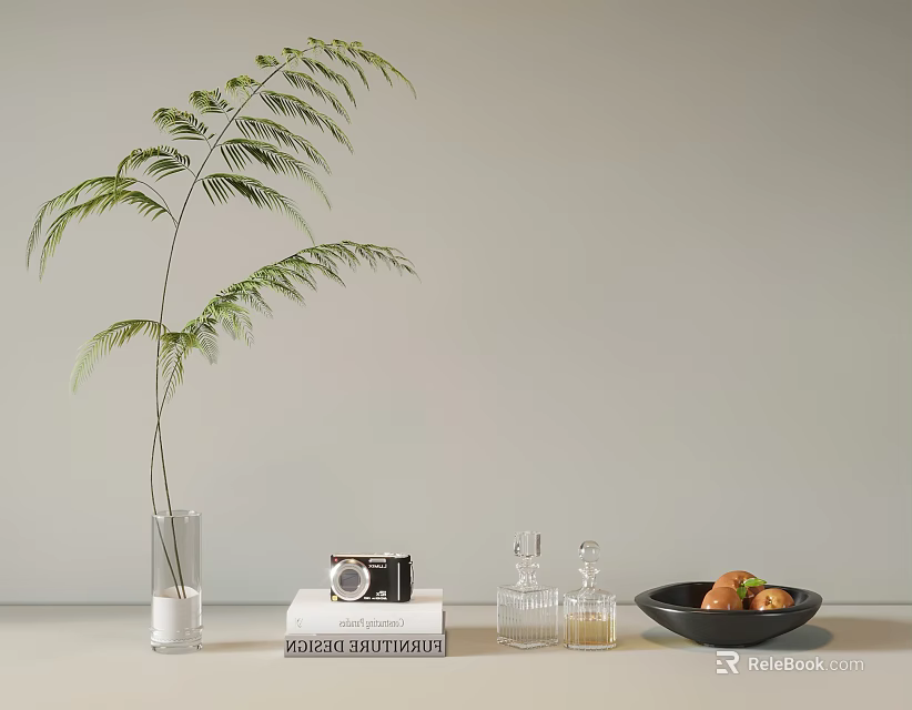 Decorative Ornament Combination With Glass Vase Green Plant Camera Book Glass Bottles Black Plate Fruits 3d model 