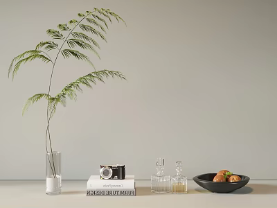 Decorative Ornament Combination With Glass Vase Green Plant Camera Book Glass Bottles Black Plate Fruits 3d model