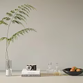 Decorative Ornament Combination With Glass Vase Green Plant Camera Book Glass Bottles Black Plate Fruits