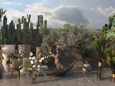 Bonsai and Potted Plants Including Cacti Olive Tree Bonsai Various Pots and Stone Wall Background 3d model