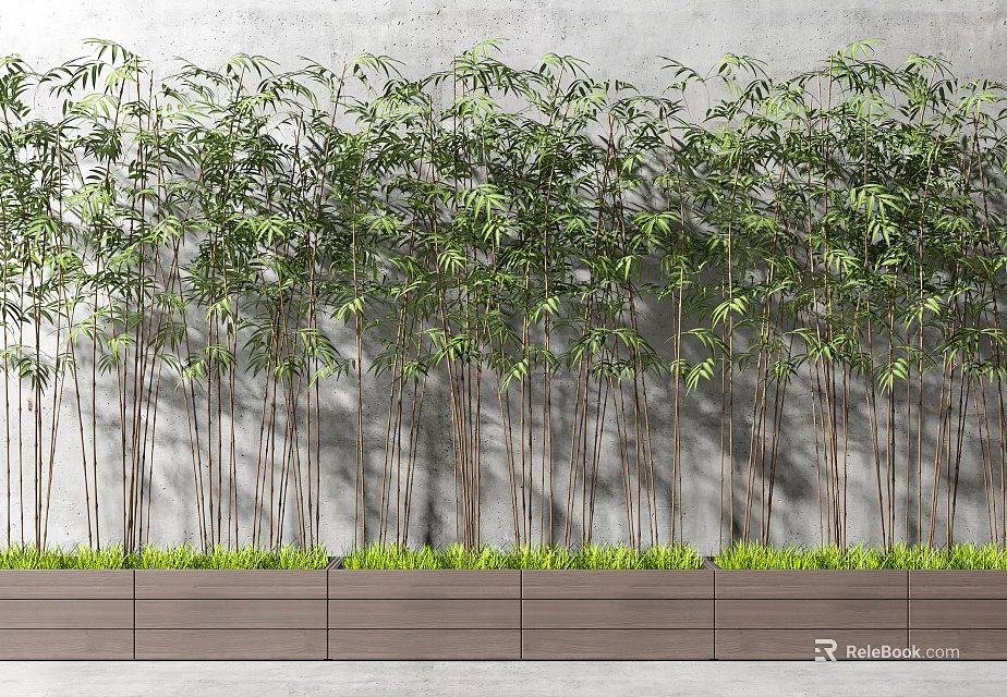 Tall Bamboo Plants With Green Leaves Against Concrete Wall In Wooden Planter 3d model 
