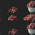 Indoor Decorative Red Leafy Plants in White Ceramic Pots Various Display Styles