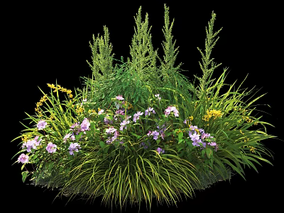 Green Shrubs With Purple Yellow Flowers And Slender Grasses In Garden Landscape 3d model