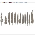 Light Brown Decorative Feathers with Various Shapes Arranged in a Row 3d model