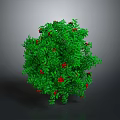 Decorative Green Round Plant With Lush Leaves And Bright Red Flowers