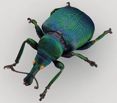 insect worm 3d model