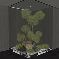 Stylish Indoor Landscape With Trimmed Rounded Trees Glass Partition Wooden Wall Pebbles And Decorative Light