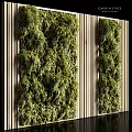 Living Plant Wall With Lush Green Foliage And Vertical Wooden Panel Decorative Design