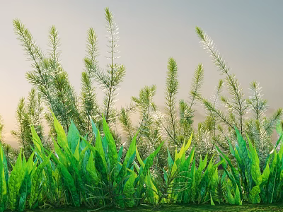 Lush Green Shrubs with Tall Grass Under Clear Sky and Warm Sunlight 3d model