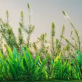 Lush Green Shrubs with Tall Grass Under Clear Sky and Warm Sunlight