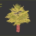 Realistic Green Palm Tree With Brown Trunk And Lush Fronds On Grey Background