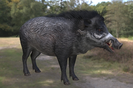 Visayas Wild Boar Visayas Warthog Curly Boar Animal 3d model