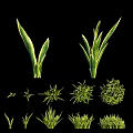 Lush Green Herb Plants With Diverse Leaf Shapes And Round Foliage For Garden