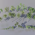 Diverse Green Plant Combinations with Trees Shrubs and Vines for Landscape Design