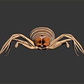 Modern spider Sun-avoidance spider Poisonous spider Great spider 3d model