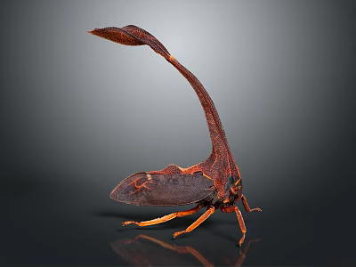 Interesting Insect With Long Tail Patterned Wings And Orange Legs On Dark Background 3d model