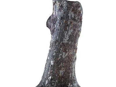 Natural Textured Stone Wood Decorative Sculpture With Rough Surface And Organic Shape For Home Decor 3d model