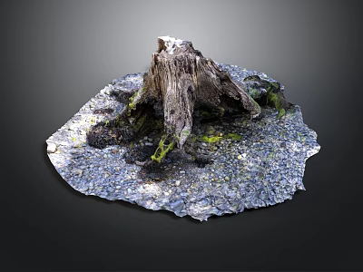 Rustic Tree Stump With Green Moss And Gray Gravel On Textured Base 3d model