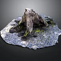 Rustic Tree Stump With Green Moss And Gray Gravel On Textured Base