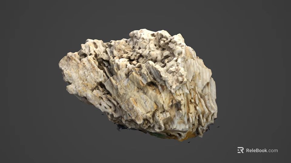 Natural Coral Marine Animal With Porous Structure And Brown White Textures 3d model 